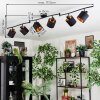 Alsen Plafonnier, Spot de plafond Noir, 6 lumières