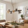 Chehalis Suspension, Boule lumineuse, Suspension Ambre, Clair, Fumé, 8 lumières