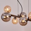 Chehalis Suspension, Boule lumineuse, Suspension Ambre, Fumé, 8 lumières