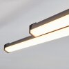 Fenol Plafonnier LED Noir, 1 lumière