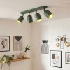 Horen Plafonnier, Spot de plafond Vert, 4 lumières