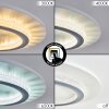 Lidor Plafonnier LED Gris, Blanc, 1 lumière