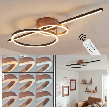 Goren Plafonnier LED Cuivre, Noir, 1 lumière