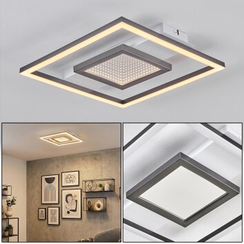 Hadel Plafonnier LED Gris, Blanc, 1 lumière