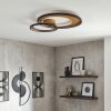 Baiyin Plafonnier LED Or, Noir, 1 lumière