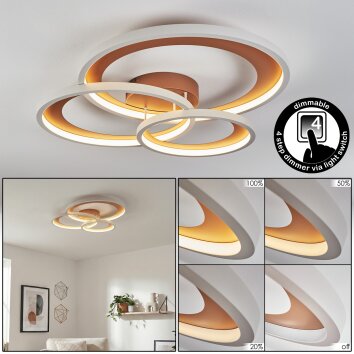 Baiyin Plafonnier LED Brun, Blanc, 1 lumière