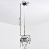 Ripoll Suspension, Boule lumineuse, Suspension Chrome, Clair, Fumé, 1 lumière