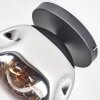 Ripoll Plafonnier, Boule lumineuse Chrome, Clair, Fumé, 1 lumière