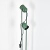 Horen Lampadaire Vert, 2 lumières