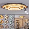 Lidor Plafonnier LED Or, Cuivre, Noir, 1 lumière, Télécommandes