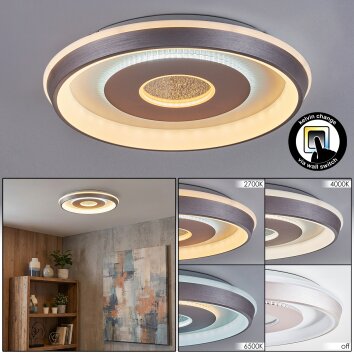 Dakon Plafonnier LED Champagne, Blanc, 1 lumière