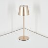 Salgadinho Lampe de table d'extérieur, Lampe à poser LED Champagne, 1 lumière