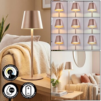 Salgadinho Lampe de table d'extérieur, Lampe à poser LED Champagne, 1 lumière