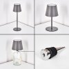 Salgadinho Lampe de table d'extérieur, Lampe à poser LED Gris, 1 lumière