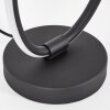 Jolor Lampe à poser LED Noir, 1 lumière