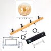 Gastor Suspension, Boule lumineuse, Suspension Écru, Noir, 4 lumières