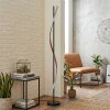 Solir Lampadaire LED Noir, 1 lumière