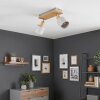 Olaris Plafonnier, Spot de plafond Chrome, Gris, Écru, 2 lumières