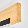 Inzino Plafonnier LED Écru, Noir, 1 lumière