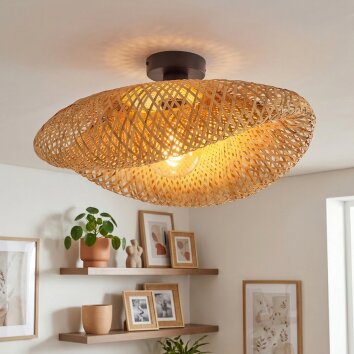 Bauro Plafonnier Noir, 1 lumière