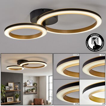 Tulor Plafonnier LED Noir, 1 lumière