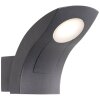 Applique murale d'extérieur AEG Brynna LED Anthracite, 1 lumière