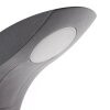 Applique murale d'extérieur AEG Brynna LED Anthracite, 1 lumière
