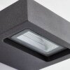 Applique murale d'extérieur AEG Glynn LED Anthracite, 1 lumière