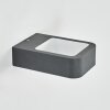 Faren Lampe murale d´extérieur, Luminaire Up & Down, Applique murale LED Anthracite, 1 lumière