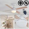 Lenok Ventilateur de plafond lumineux LED Blanc, 1 lumière, Télécommandes