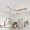 Lenok Ventilateur de plafond lumineux LED Blanc, 1 lumière, Télécommandes