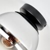Gastor plafonnier globe en verre fumé E27, style rétro moderne pour salon