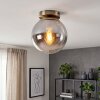Gastor plafonnier boule, plafonnier globe en verre fumé E27, finition laiton brossé