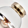 Gastor plafonnier boule, plafonnier globe en verre fumé E27, finition laiton brossé