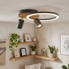 Velani plafonnier LED avec spots orientables, 2 lampes, anneau lumineux