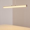 Suspension Flaut LED Chrome, 1 lumière, Télécommandes, Changeur de couleurs