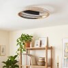 LED Plafonnier Calista, 3000 Kelvin blanc chaud, 4000 Kelvin blanc neutre, 6000 Kelvin jour