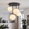 Chehalis plafonnier globe vintage 4 lampes G9 pour salon et salle à manger