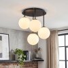 Chehalis plafonnier boule G9 à 4 lampes, style moderne rétro pour salon
