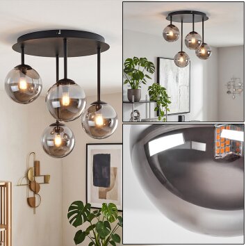 Plafonnier moderne Chehalis à 4 lumières avec abat-jour ronds en verre fumé, ø 12 cm, G9