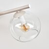 Koyoto plafonnier globe 4 lumières E14, luminaire de plafond rond rétro vintage