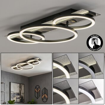Kordex plafonnier LED moderne design à anneaux lumineux pour salon et salle à manger