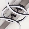 Kordex plafonnier LED moderne à anneaux lumineux croisés, forme allongée