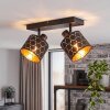 Spot de plafond Alsen moderne à 2 lumières, abat-jour noir et or à motif géométrique ajouré