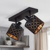 Alsen plafonnier à spots orientables, 2 lumières, abat-jour ajouré graphique