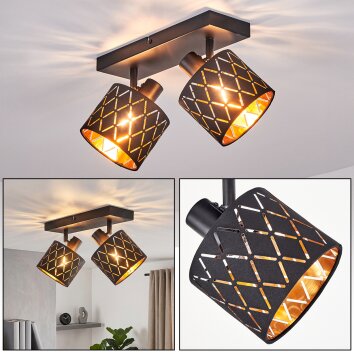 Alsen plafonnier à spots orientables, 2 lumières, abat-jour ajouré graphique