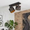 Alsen plafonnier spot orientable à 2 lumières, lampe de plafond E14