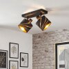 Alsen plafonnier spot orientable à 2 lumières, lampe de plafond E14