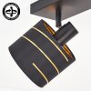 Alsen plafonnier orientable 2 lumières, abat-jour cylindriques ajourés E14