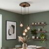 Avestruz suspension 4 lumières vintage E27, longueur 20 cm, réglable à l’installation